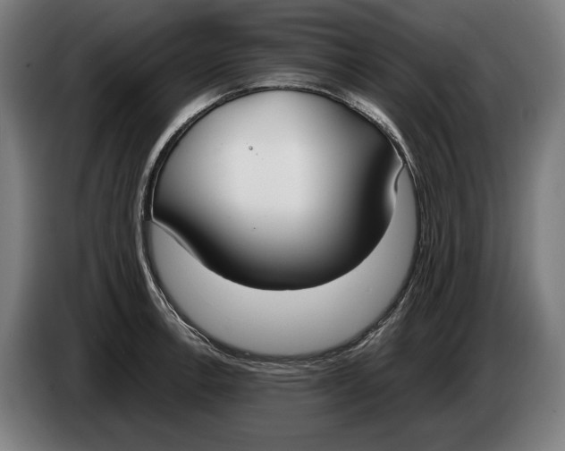 X0000086311138200704201957