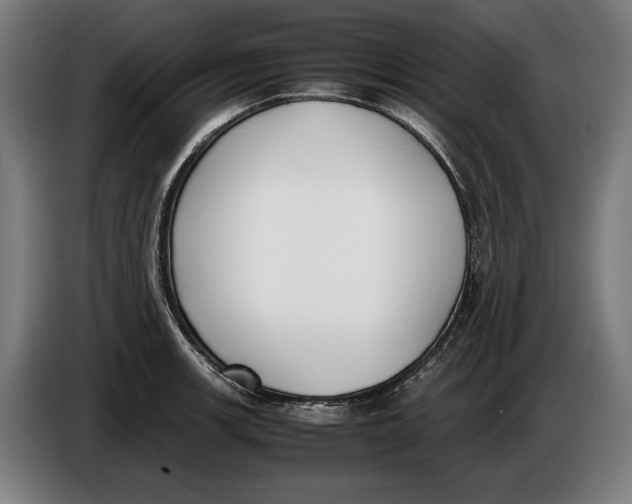 X0000086311139200704201957