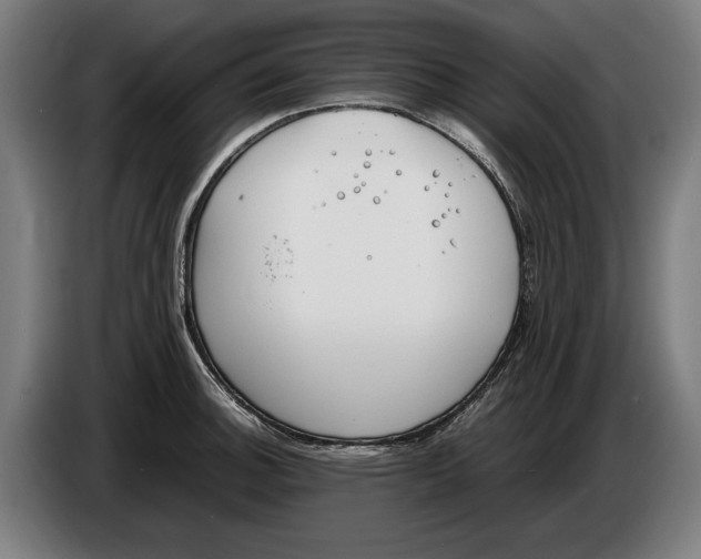 X0000086311140200704201957