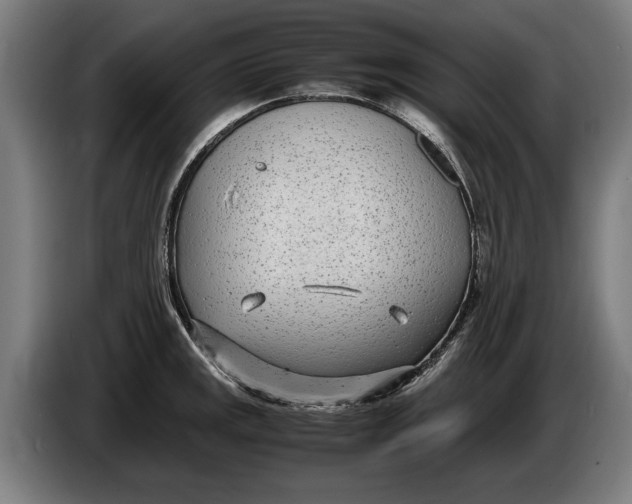 X0000086311141200704201957