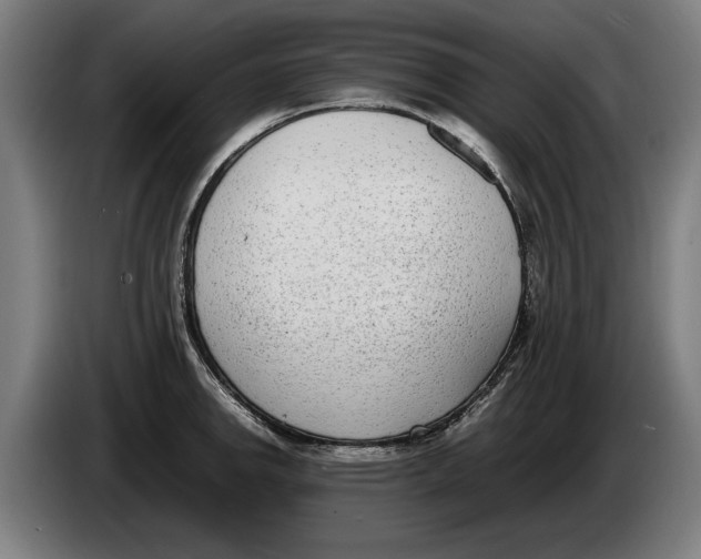 X0000086311142200704201957