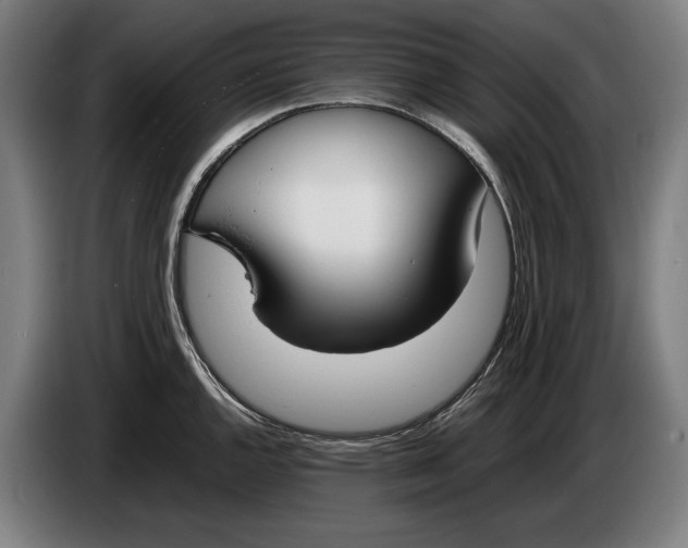 X0000086311144200704201957