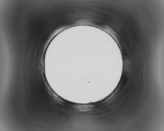 X0000086311150200704201957