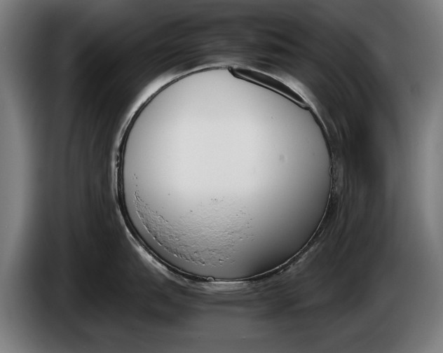 X0000086311151200704201957