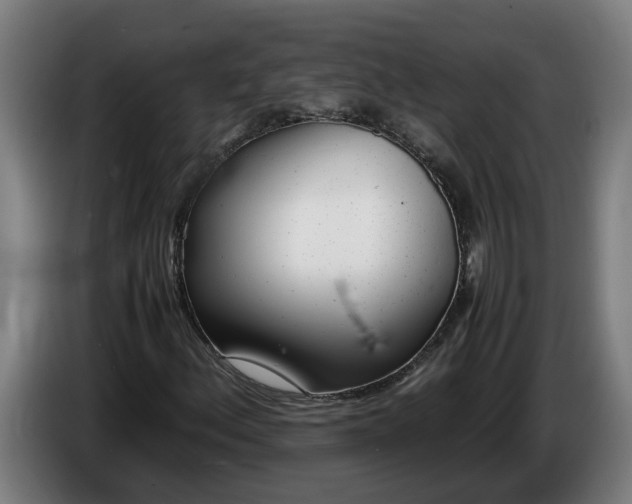 X0000086311156200704201957