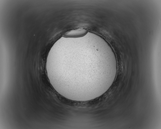 X0000086311158200704201957
