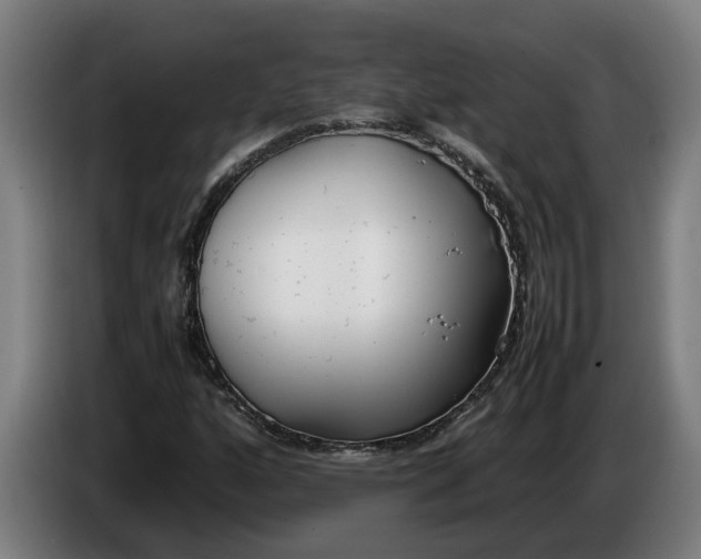 X0000086311160200704201957