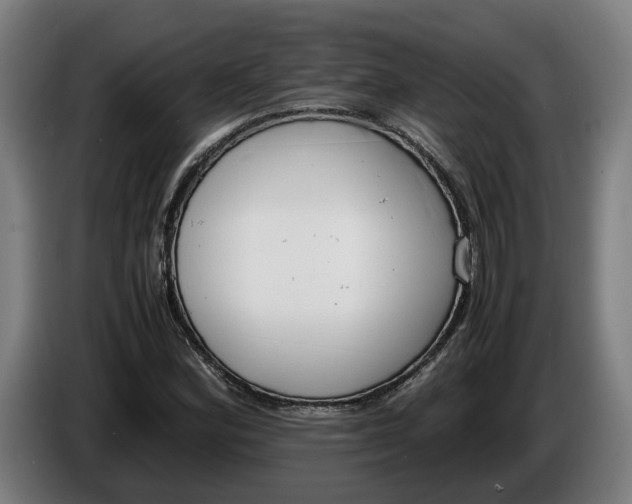 X0000086311164200704201957