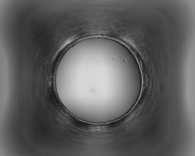 X0000086311165200704201956