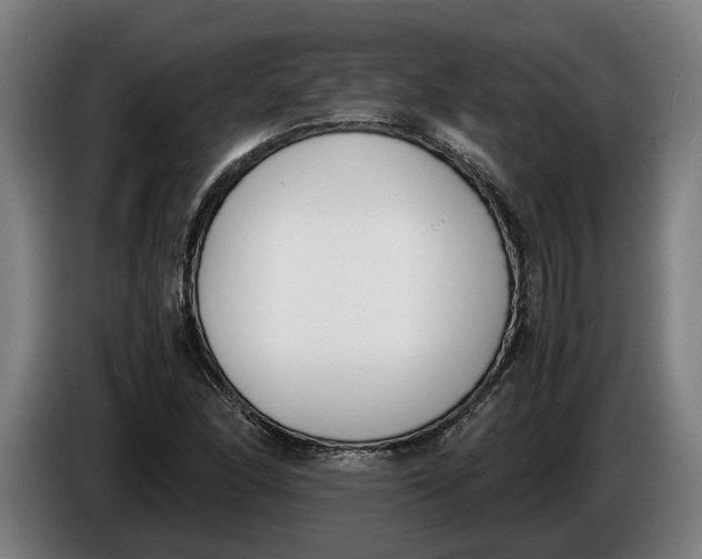 X0000086311166200704201956