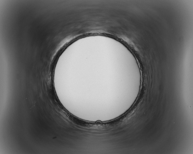 X0000086311167200704201956