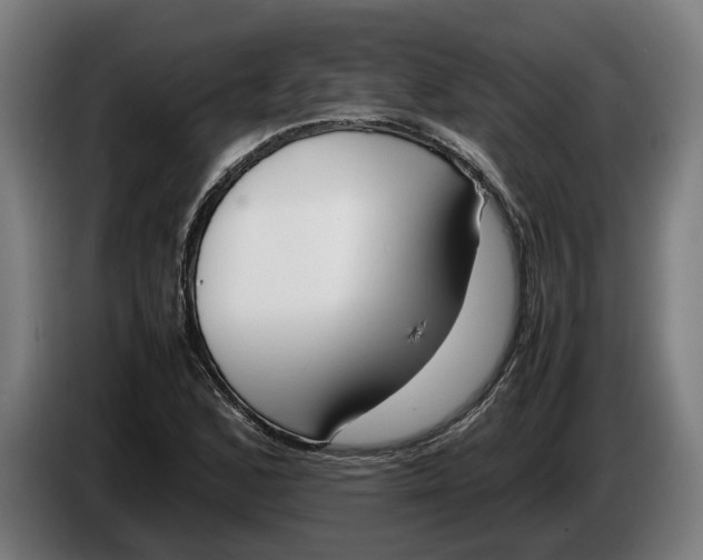 X0000086311168200704201956
