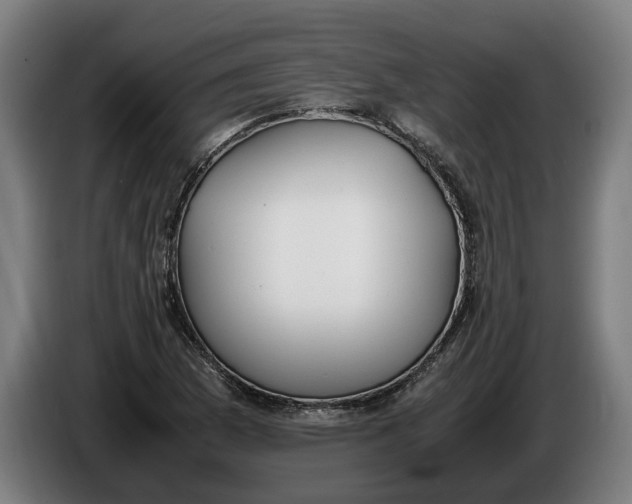 X0000086311169200704201956