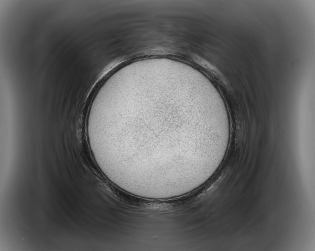 X0000086311170200704201956