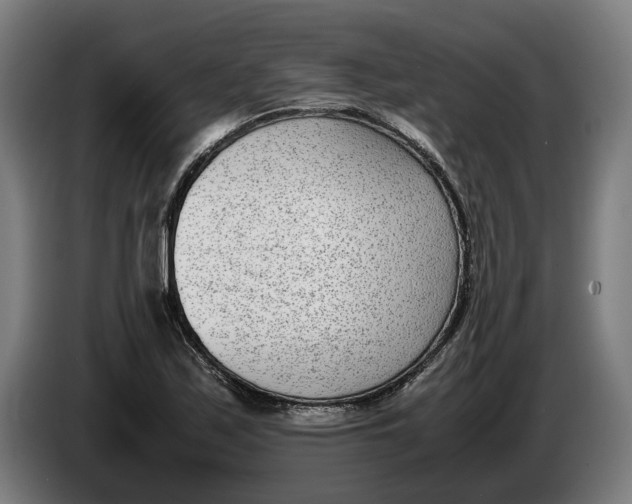 X0000086311171200704201956