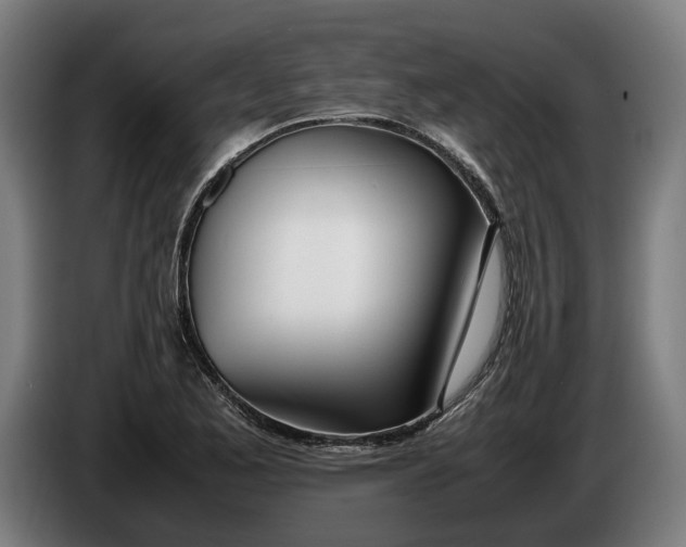 X0000086311173200704201956