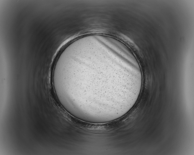 X0000086311174200704201956