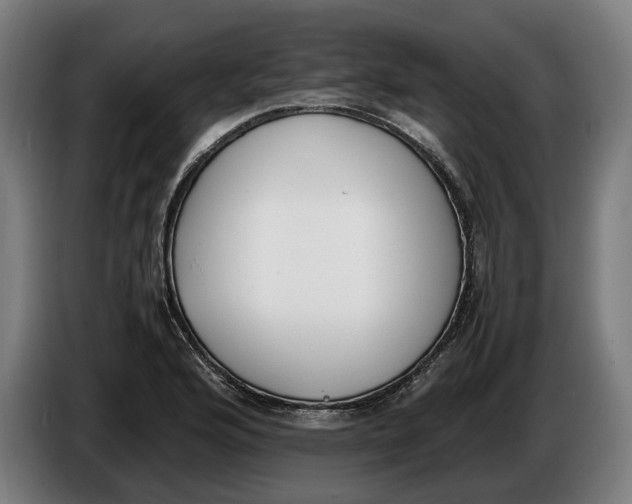 X0000086311176200704201956