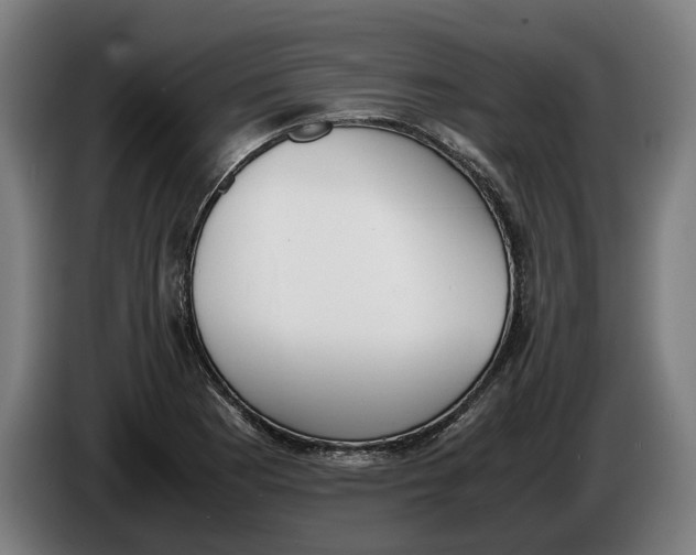 X0000086311177200704201956