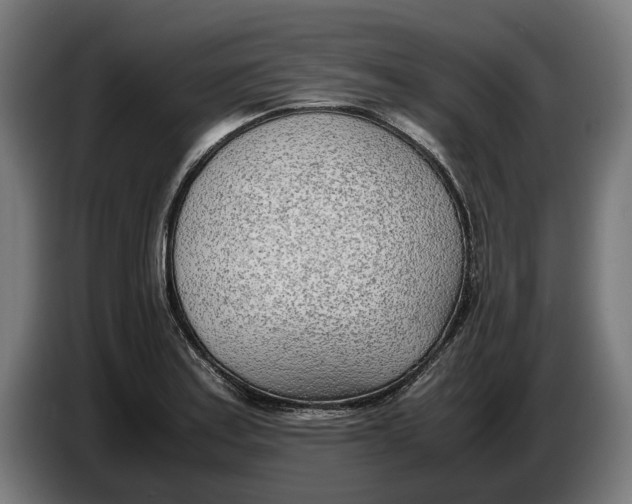 X0000086311179200704201956