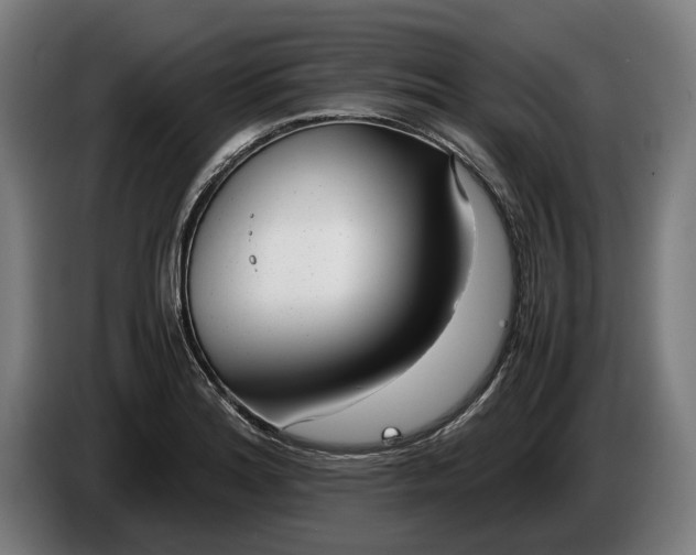 X0000086311180200704201956