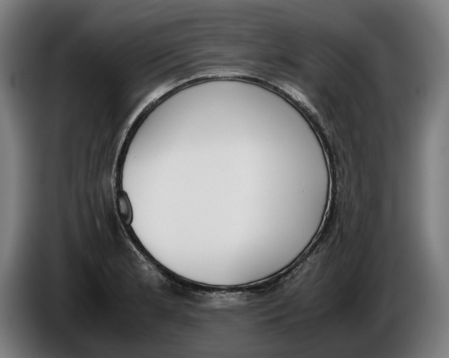 X0000086311181200704201956