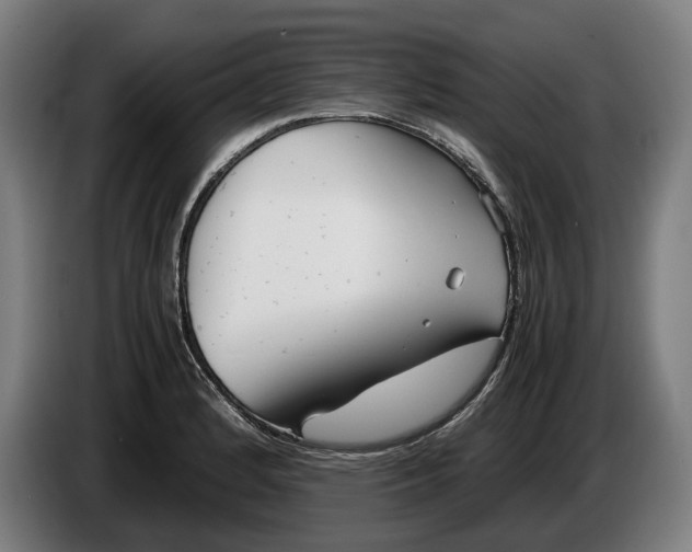 X0000086311184200704201956