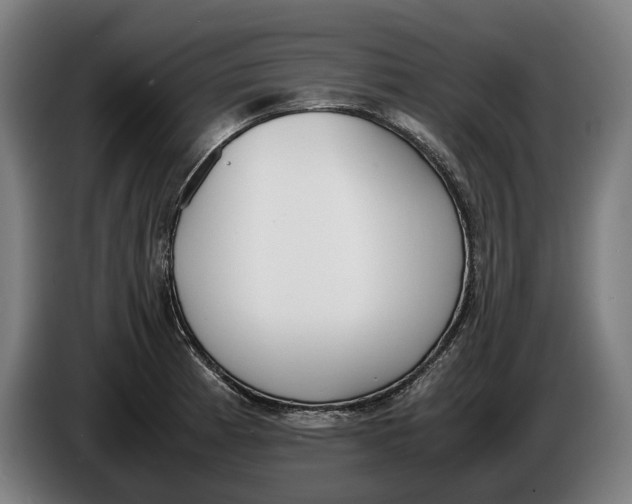 X0000086311185200704201956