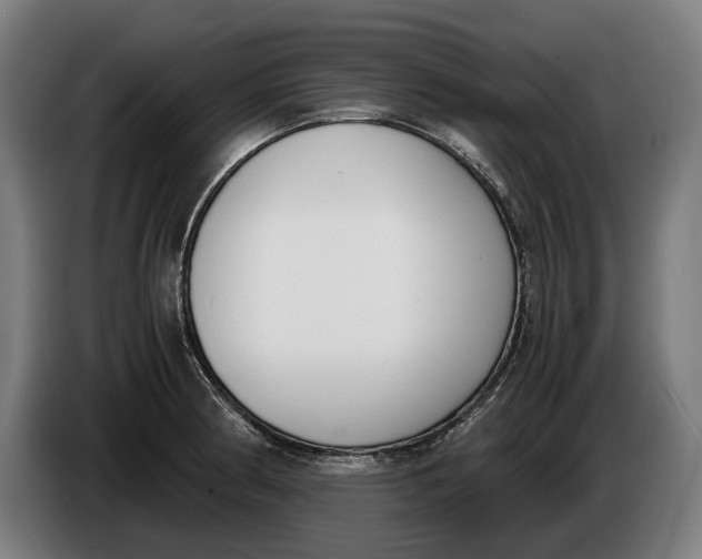 X0000086311186200704201956