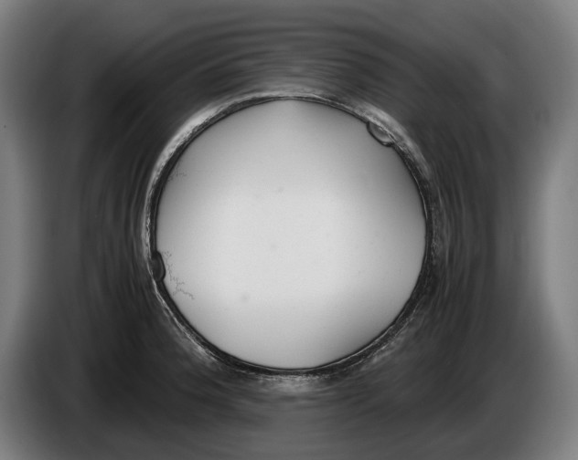 X0000086311188200704201956