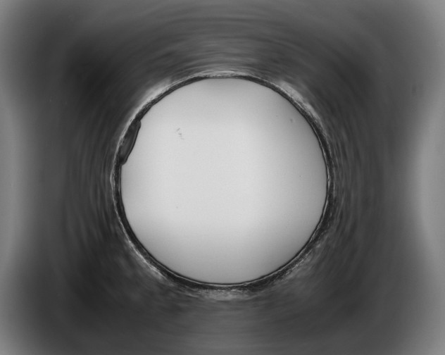 X0000086311189200704201956