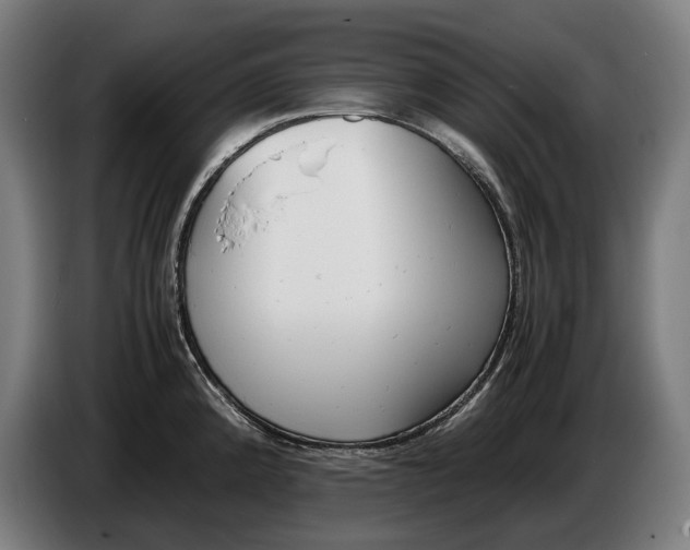 X0000086311192200704201956