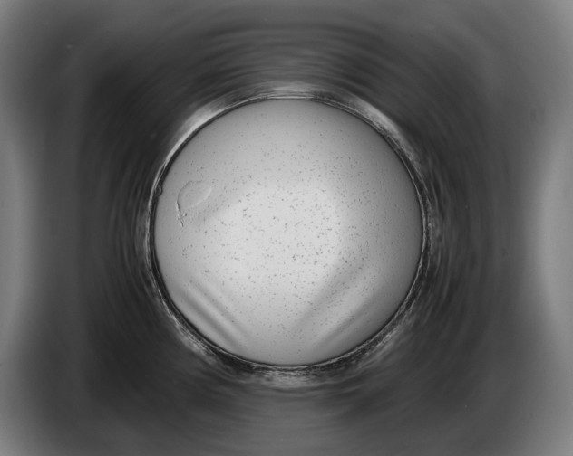 X0000086311194200704201956