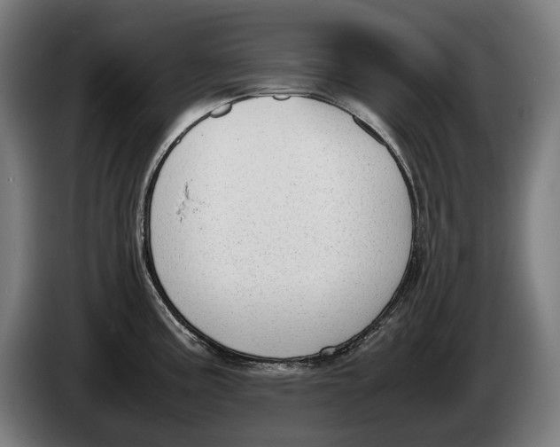 X0000086311195200704201956
