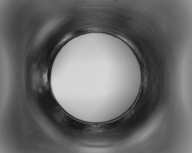 X0000086311198200704201956