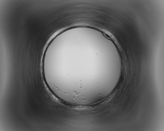 X0000086311199200704201956