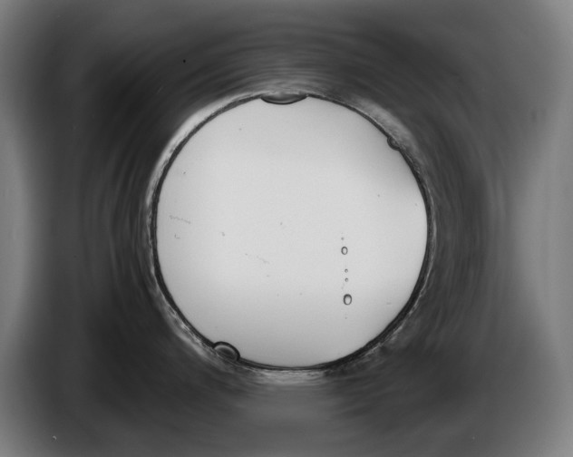 X0000086311200200704201956