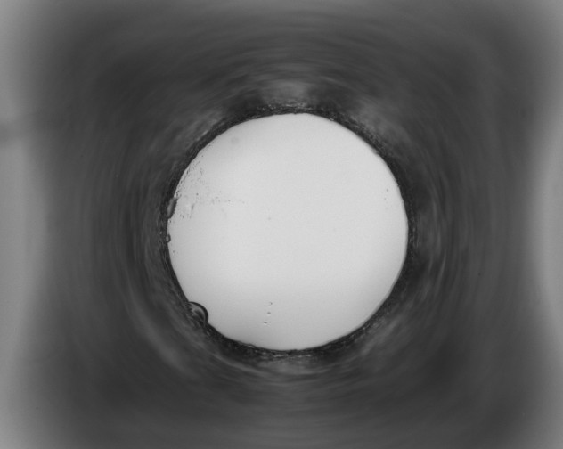 X0000086311201200704201955