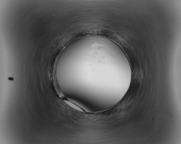 X0000086311202200704201955