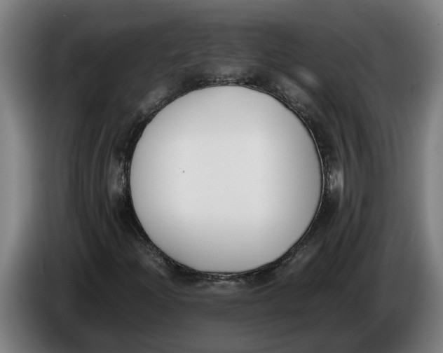 X0000086311204200704201955