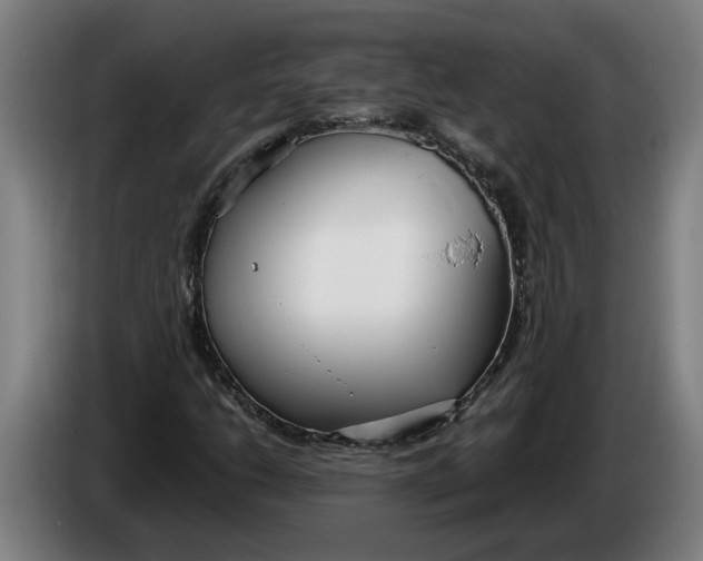 X0000086311206200704201956