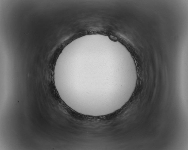 X0000086311207200704201956