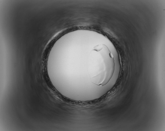 X0000086311208200704201956