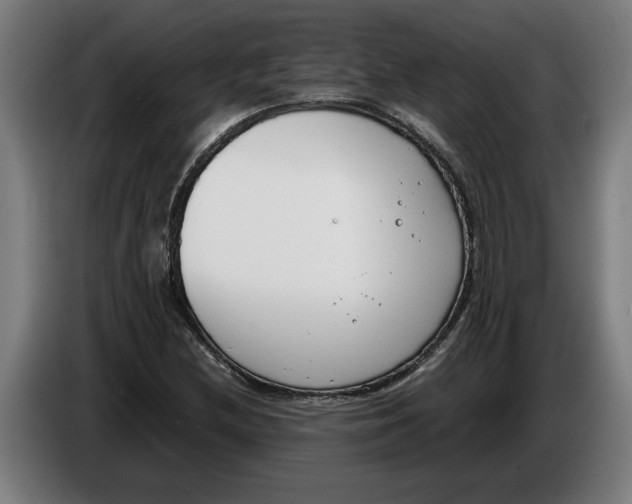 X0000086311212200704201956