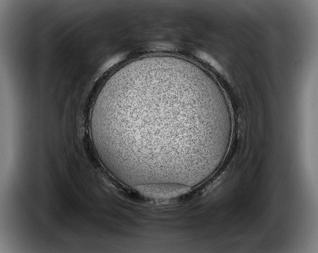 X0000086311213200704201956