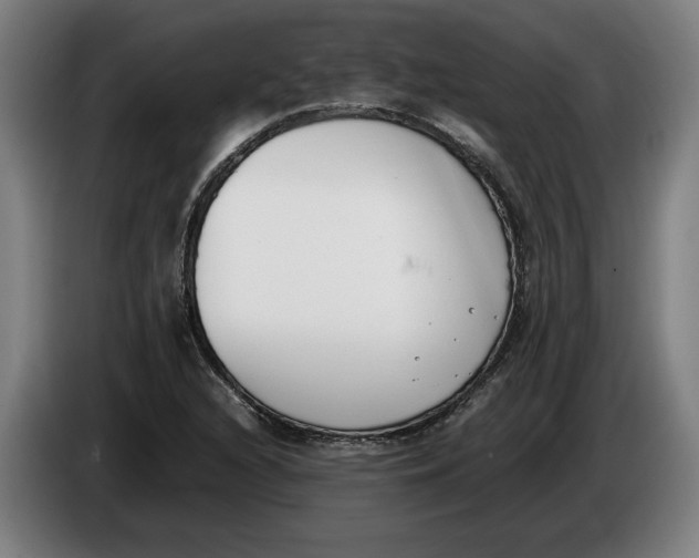 X0000086311216200704201956