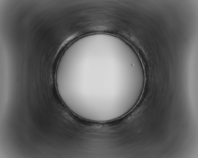 X0000086311218200704201956