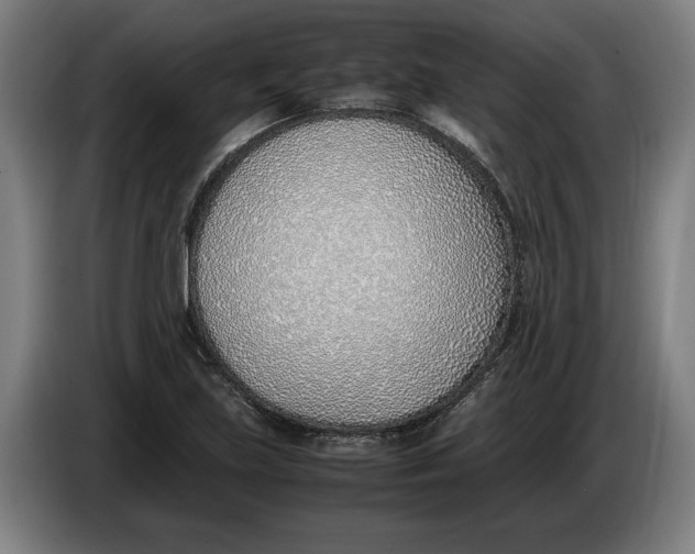 X0000086311219200704201956