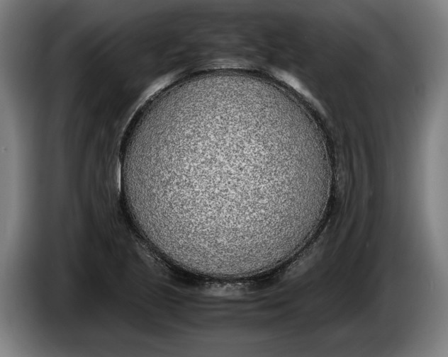 X0000086311221200704201956