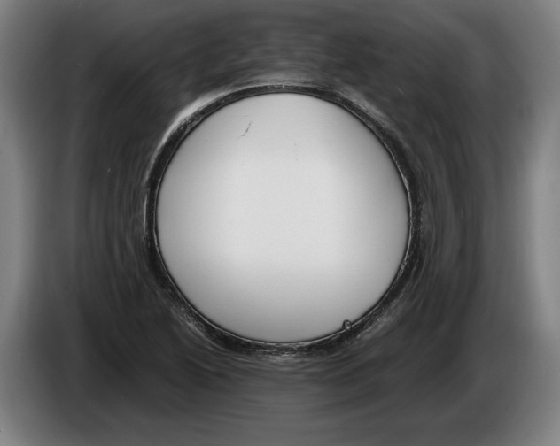 X0000086311222200704201956